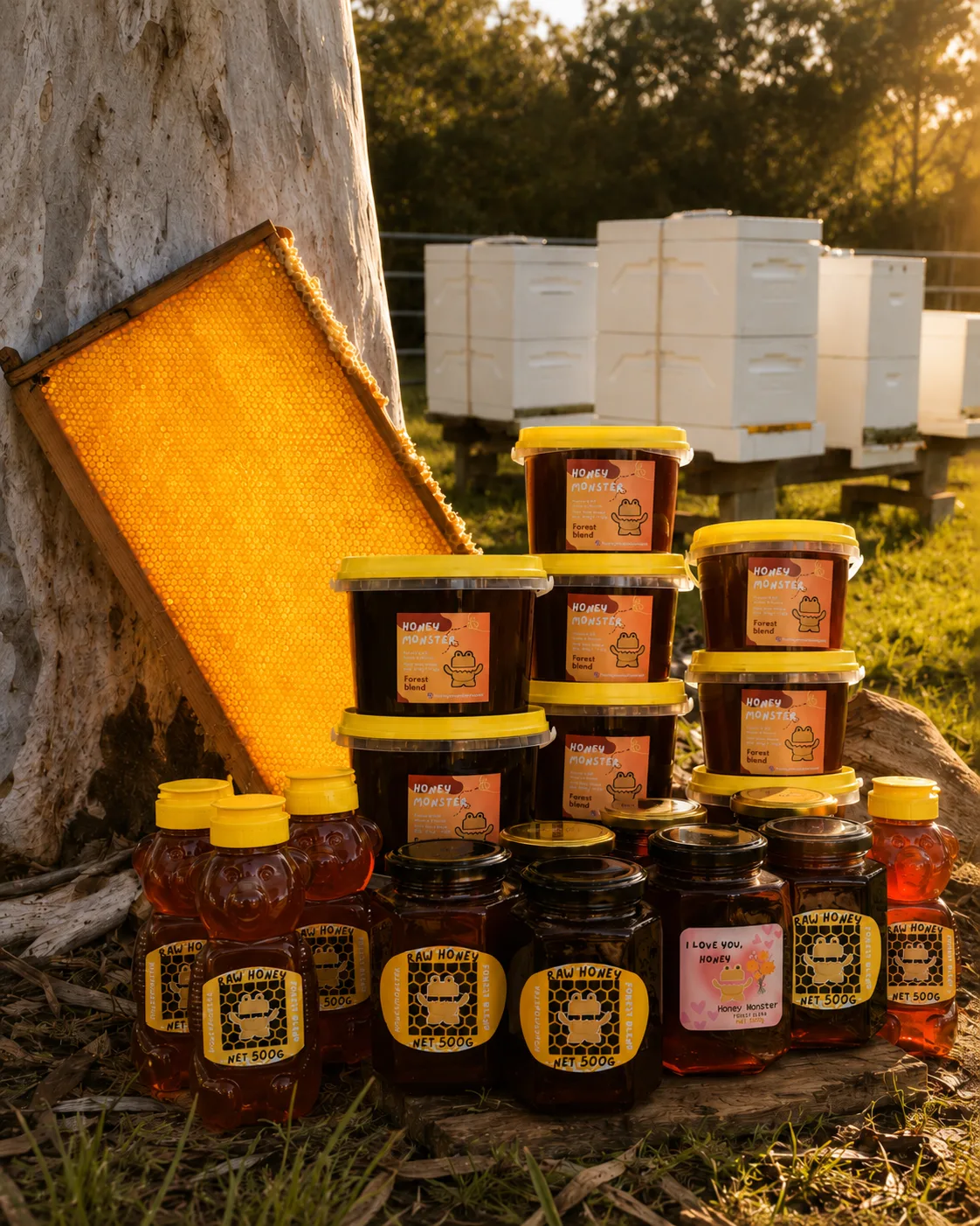 Honey Monster hives in the Noosa hinterland eucalypt forest